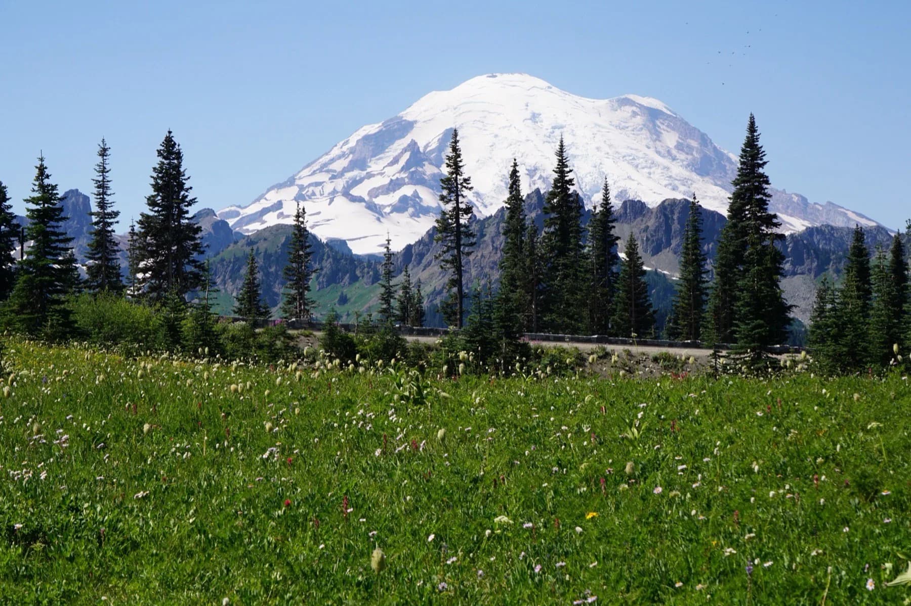 Mount Rainier reflected in Tipsoo Lake with wildflower meadows in summer